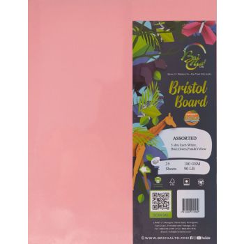 Bristol Board 8 1/2 x 11 Assorted Colors - 25 Sheets , 180 GSM