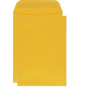 Brown Envelopes 10 x 13