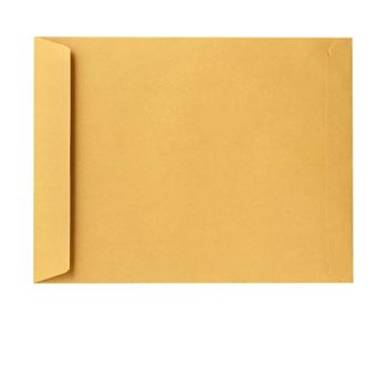 Brown Envelopes 10 x 15