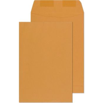 Brown Envelopes 6 x 9