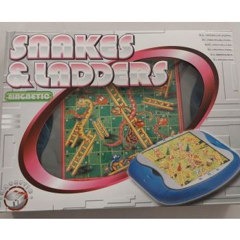 Magnetic Snake and Ladders 
