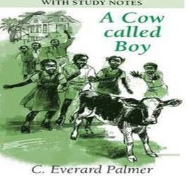 A Cow called Boy